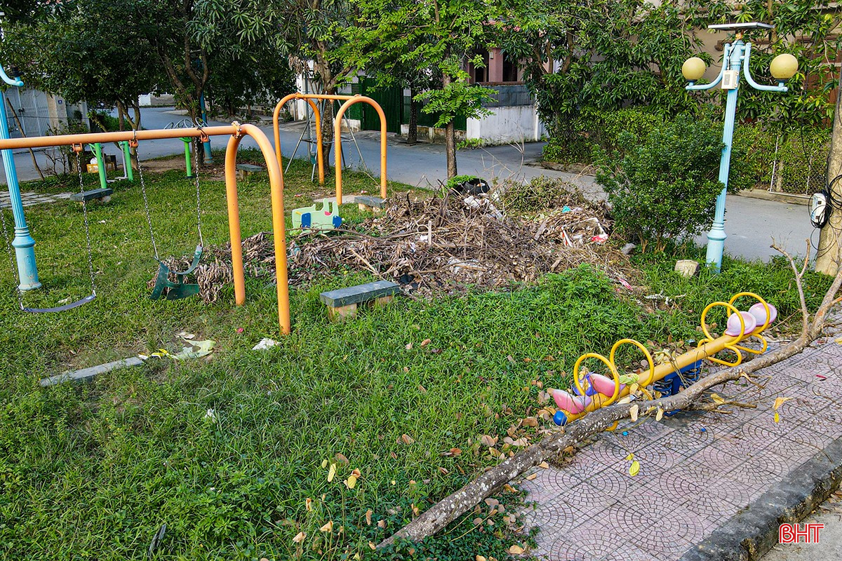bqbht_br_adji-0711.jpg