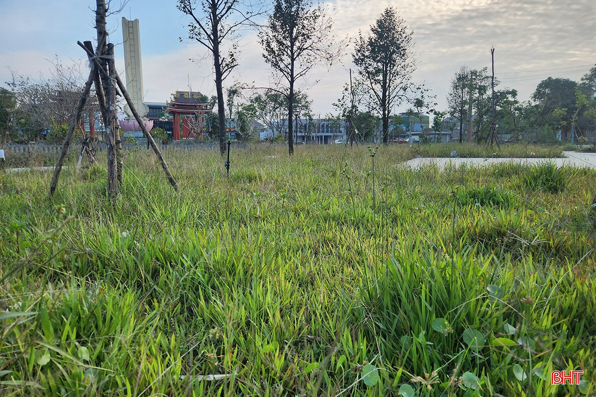 bqbht_br_a20251126-155716.jpg