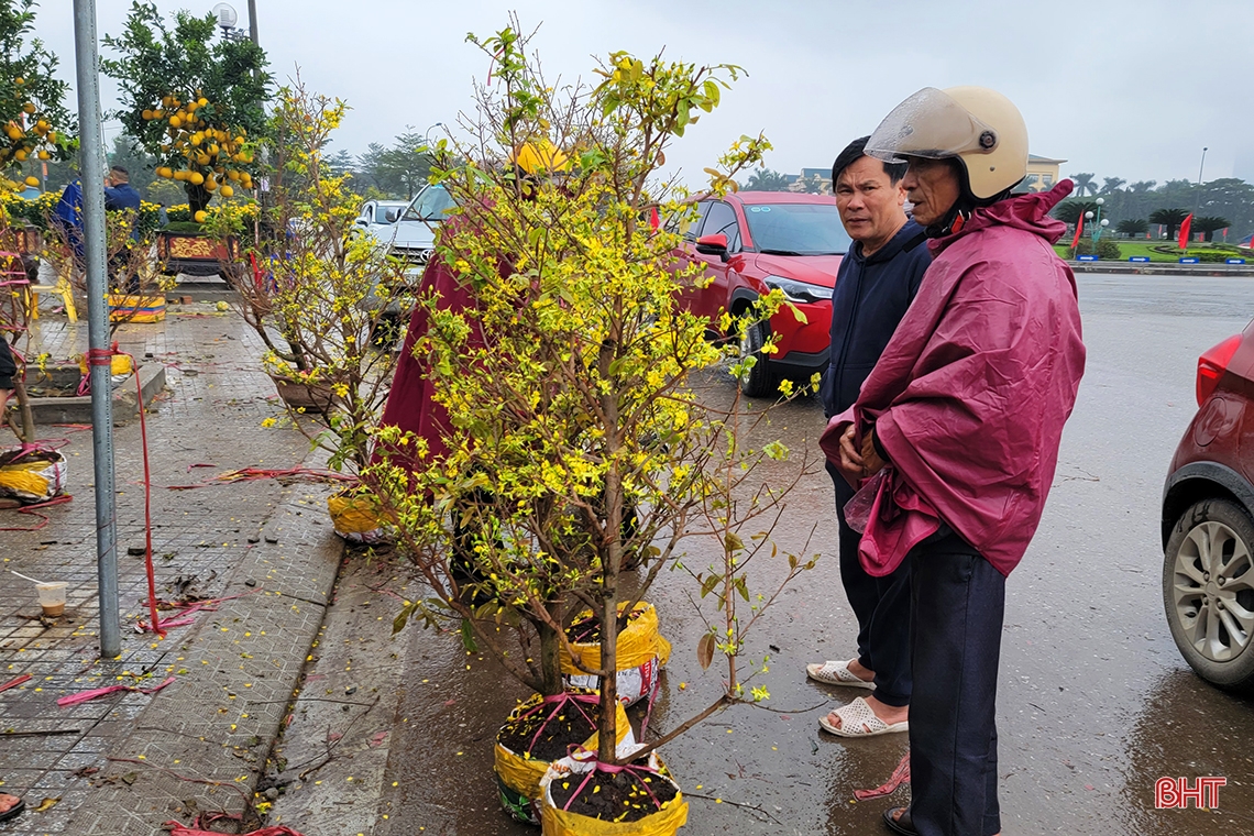 Đào, quất chiều 30 tết: Xả hàng vẫn vắng người mua!