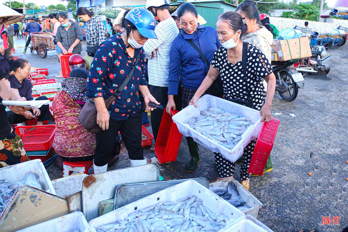 Được biết, những ngày nghỉ lễ, giá các mặt hàng hải sản tăng khoảng 15% so với ngày thường, hoạt động mua bán tấp nập. Cụ thể, ghẹ tươi có giá từ 400.000 - 500.000 đồng/kg; tôm tít giá 200.000 - 250.000 đồng/kg; mực giá 350.000 - 450.000 đồng/kg; tôm biển 300.000 - 420.000 đồng/kg tùy kích cỡ; cá thu từ 200.000 - 220.000 đồng/kg, cá bạc má từ 80.000 - 90.000 đồng/kg…