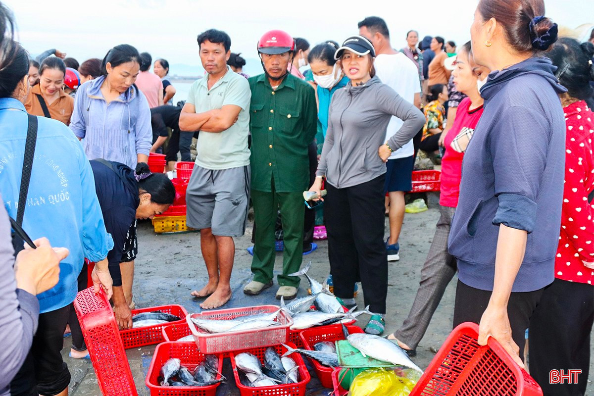 Sau khi đoàn thuyền vào bờ mang theo nhiều loại hải sản tươi ngon cũng là thời điểm họp chợ sôi nổi của bà con tiểu thương.