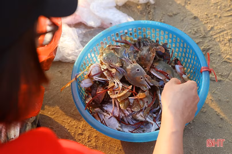 Ngày nhộn nhịp với biển Thiên Cầm