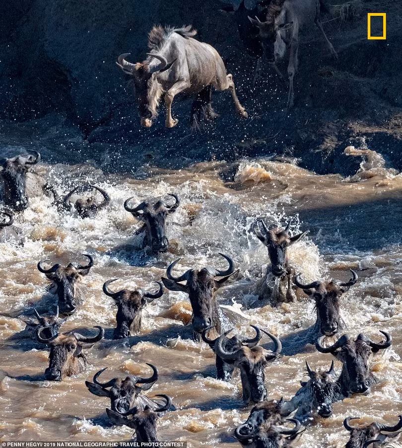Ngất ngây ảnh đẹp cuộc thi Ảnh du lịch National Geographic 2019