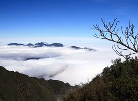 Và biển mây che phủ.