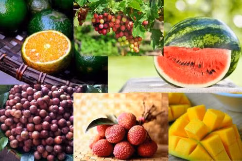 Ăn hoa quả như thế nào để tốt cho sức khỏe?