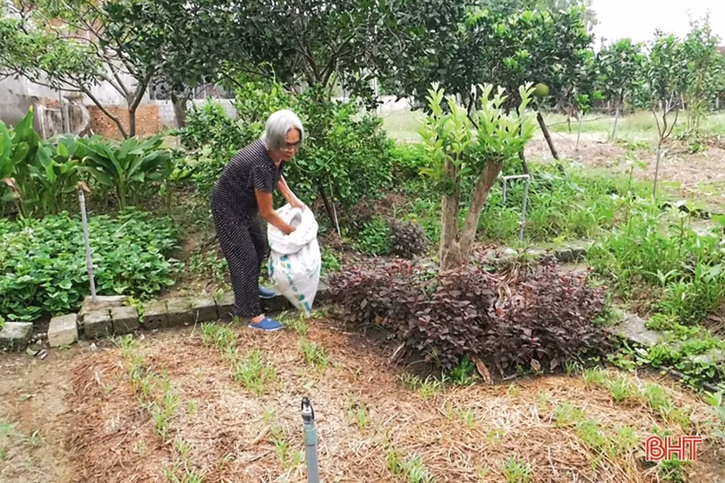 Các chợ ở Hà Tĩnh “biến” rác thải thành phân vi sinh