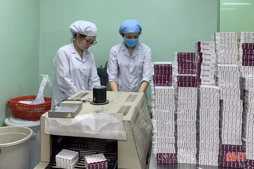 Tiếp vốn cho sản xuất kinh doanh, dư nợ ngành Ngân hàng Hà Tĩnh tăng trưởng khá