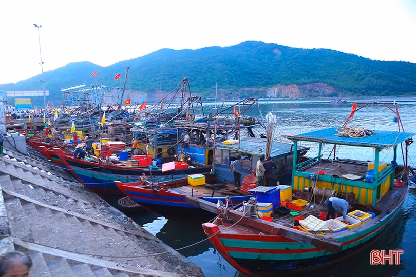 Thiết bị giám sát hành trình tàu cá “chập chờn”, Hà Tĩnh gặp khó trong xử lý