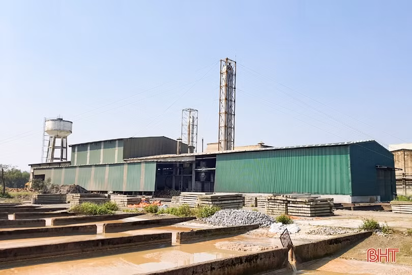 Sắn Kỳ Anh được mùa, được giá
