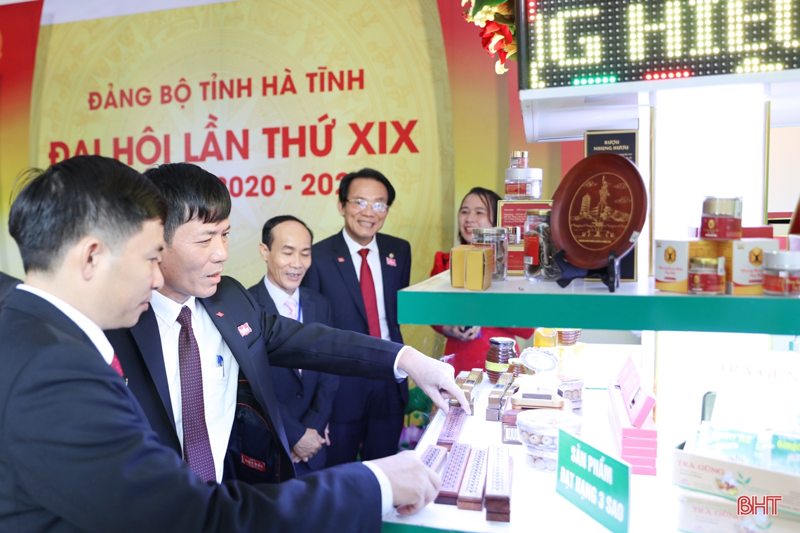 Sáng nay, khai mạc Đại hội đại biểu Đảng bộ tỉnh Hà Tĩnh lần thứ XIX