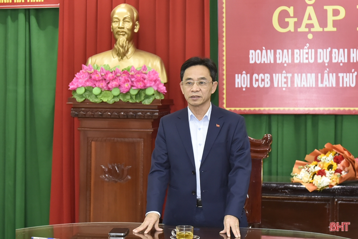 Gặp mặt đoàn đại biểu Hà Tĩnh dự Đại hội đại biểu Hội CCB Việt Nam