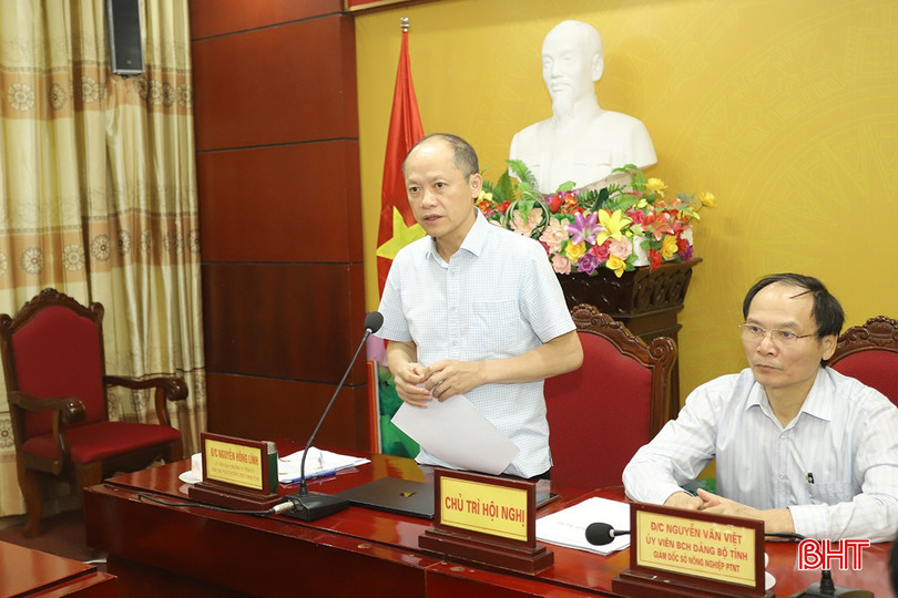 Phó Chủ tịch Thường trực UBND tỉnh Nguyễn Hồng Lĩnh yêu cầu các đơn vị, địa phương chủ động ứng phó với bão số 6 và mưa lớn do bão gây ra.