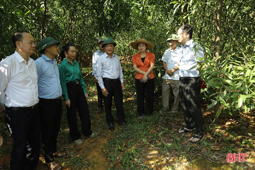 bqbht_br_khoang-san-4.jpg