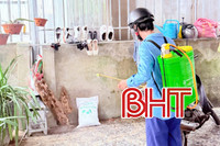 Phát hiện ổ dịch sốt xuất huyết ở xã Kỳ Hoa với 5 người mắc bệnh