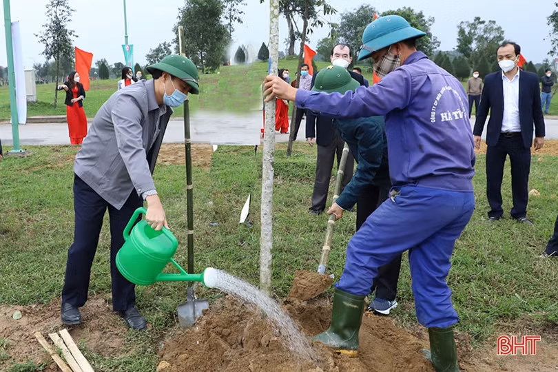Thành Sen - đường lớn đã mở