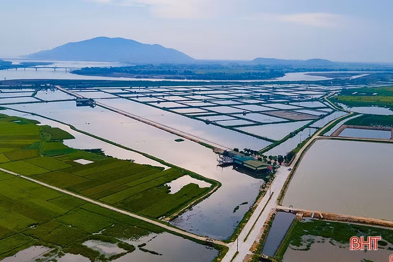 Thành Sen - đường lớn đã mở