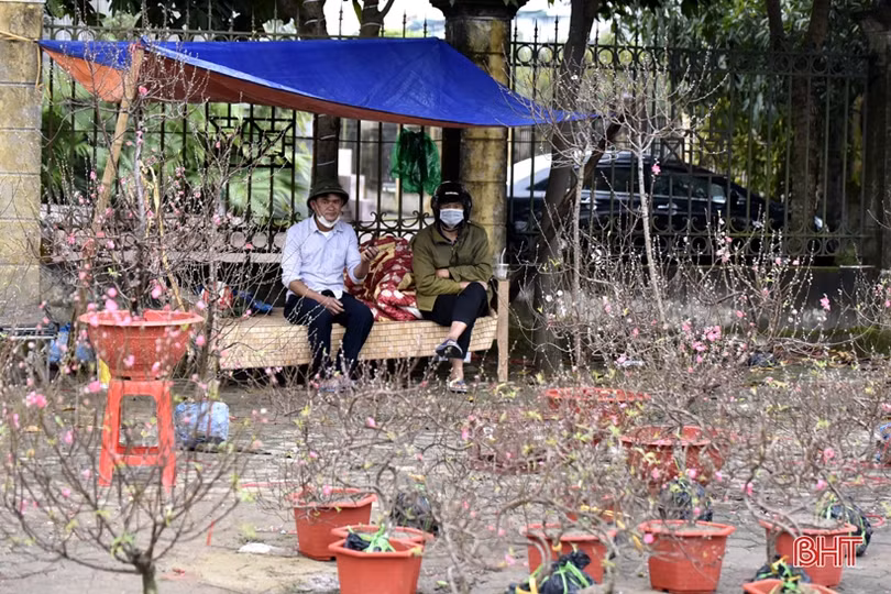 Mưu sinh ngày cuối năm