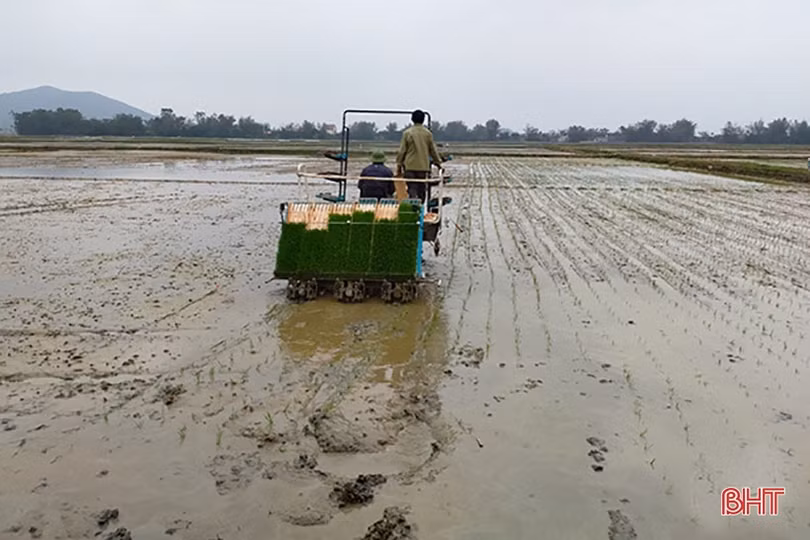 Nông nghiệp mở cánh cửa lớn