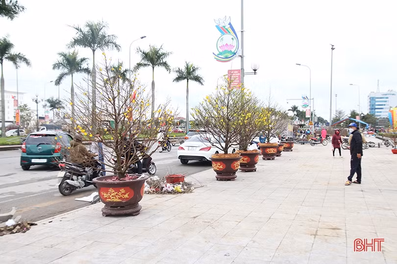 Chợ hoa, cây cảnh ở Hà Tĩnh “xả hàng” chiều 29 tết