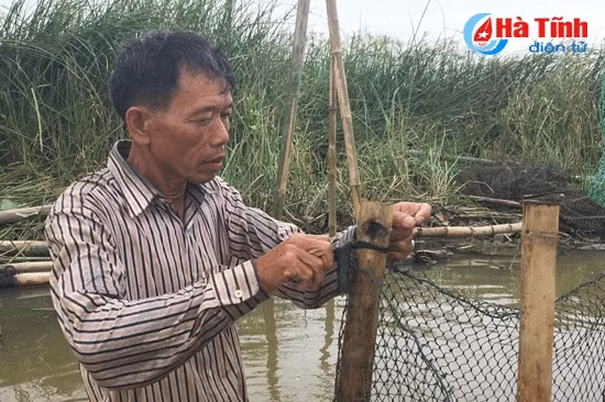 video vua ca song en ke chuyen nghe