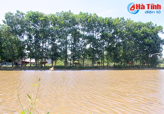 photo nang nong gay gat cong nong ha tinh van miet mai lao dong