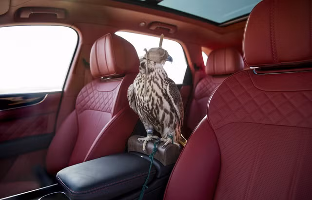 mulliner trinh lang kiet tac bentley bentayga phien ban chim ung
