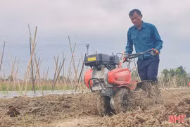 Nông dân Hà Tĩnh tất bật xuống giống, chăm sóc rau vụ tết 