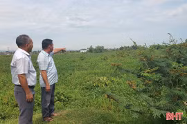 Dòng chảy bị thu hẹp, nhiều tuyến sông giảm khả năng tiêu thoát 