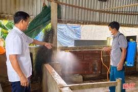 Hà Tĩnh rốt ráo khoanh vùng, dập các ổ dịch gia súc, gia cầm