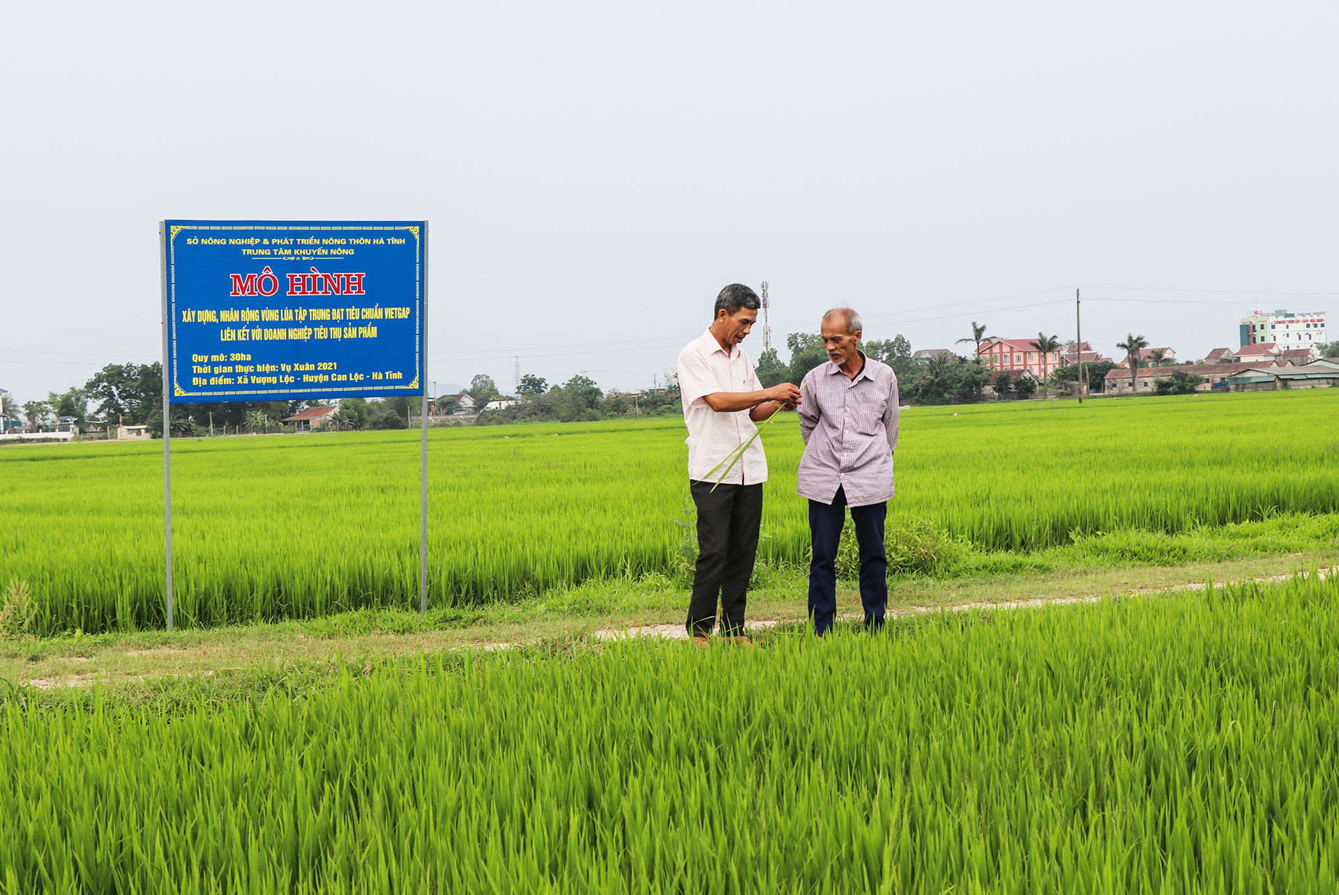 Phát triển kinh tế trong xây dựng huyện Can Lộc đạt chuẩn NTM nâng cao (bài 1): Sản xuất theo chiều sâu ở 3 vùng sinh thái