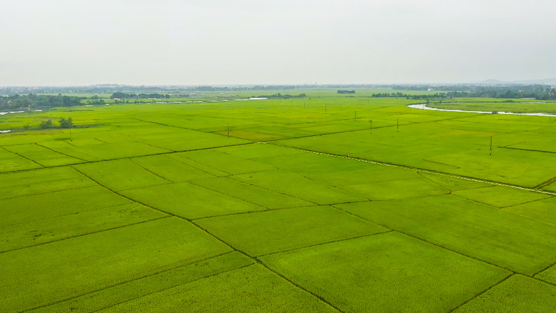 Phát triển kinh tế trong xây dựng huyện Can Lộc đạt chuẩn NTM nâng cao (bài 1): Sản xuất theo chiều sâu ở 3 vùng sinh thái