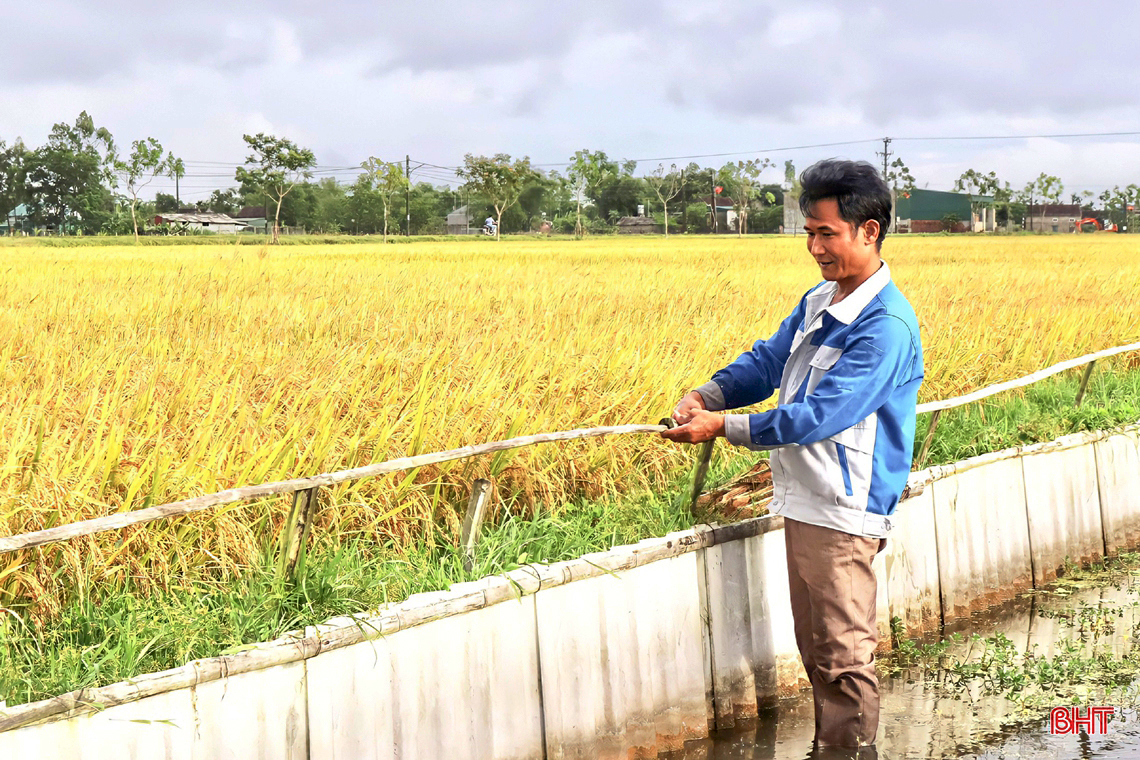 Từ nuôi lươn thoát nghèo thành ông chủ mô hình kinh tế doanh thu hàng tỷ đồng