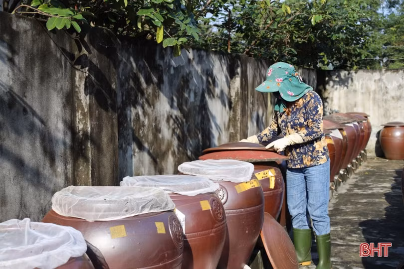 Sản phẩm OCOP Thạch Hà tăng tốc phục vụ thị trường tết