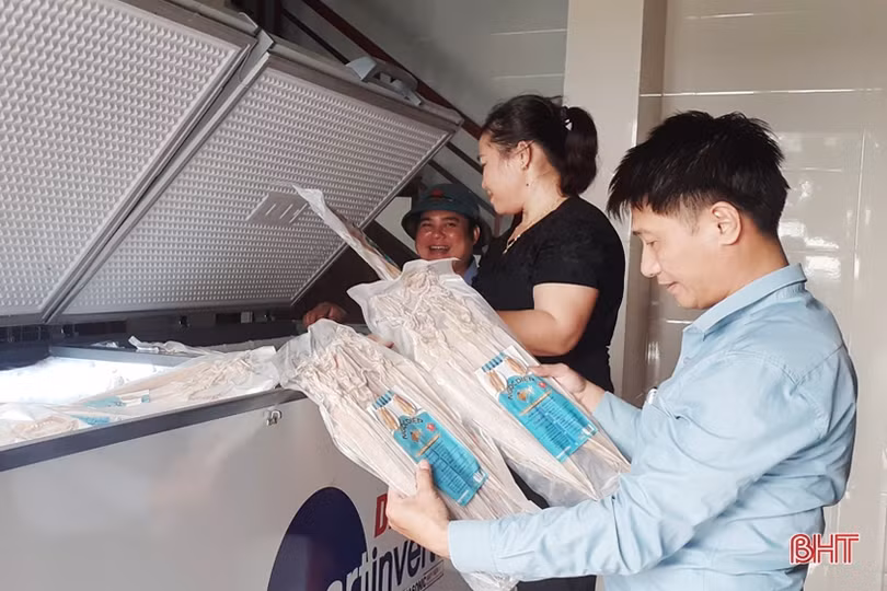Sớm xây dựng thương hiệu tập thể để nâng tầm hải sản Cửa Sót