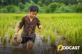 Podcast tản văn: Hương vị nước dam Hà Tĩnh 