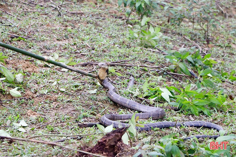 bqbht_br_img-5362-copy.jpg