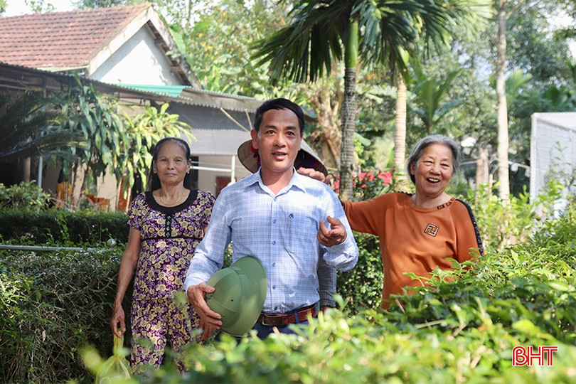 Toàn xã Quang Thọ hiện có hơn 150 vườn mẫu.
