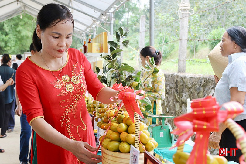 Các gian hàng được nhà vườn chuẩn bị cẩn thận phục vụ cho tuần lễ.