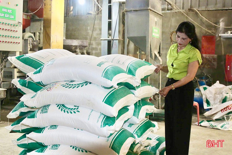 Sản phẩm gạo Hạnh Cường được công nhận đạt OCOP 3 sao vào tháng 7/2024.
