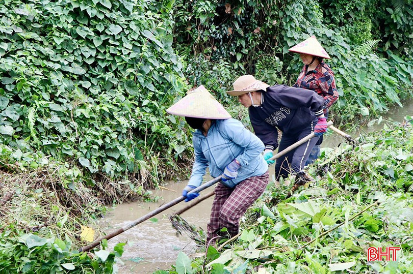 bqbht_br_vu-qunag-3.jpg