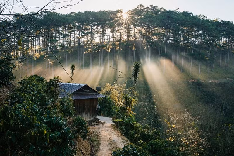 co mot da lat rat tinh cho nhung chuyen phieu du