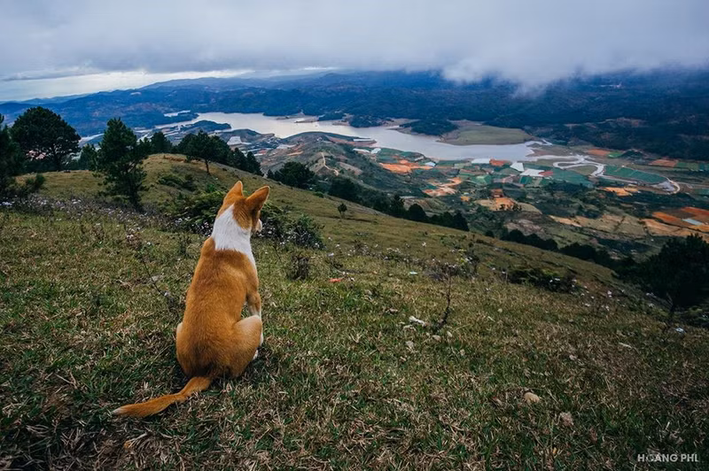 co mot da lat rat tinh cho nhung chuyen phieu du