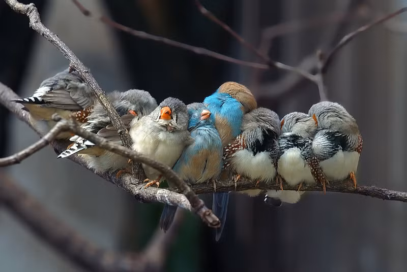 ban se khong con co don khi ngam nhung hinh anh nay