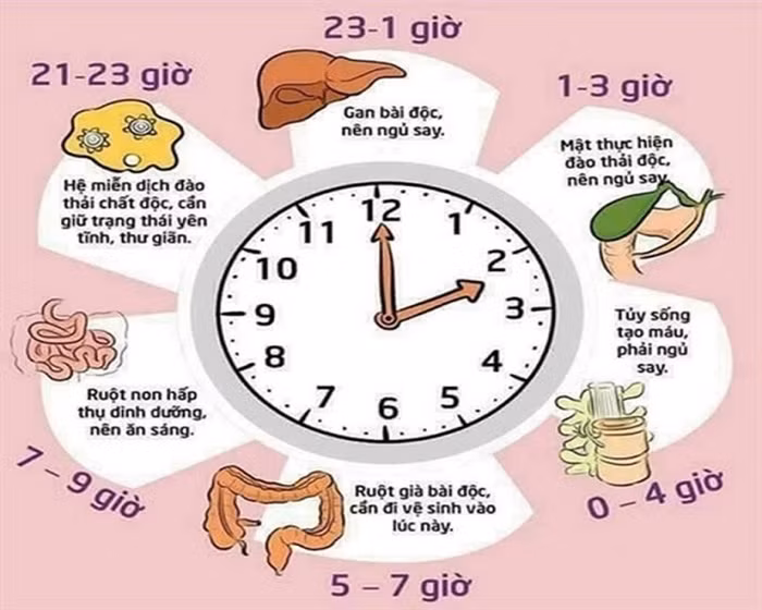 Buổi sáng thức dậy vào đúng thời điểm này cả đời không lo bệnh tật, ung thư cũng phải nể sợ