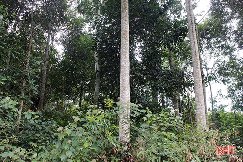 Bàn giải pháp góp phần thực hiện thắng lợi mục tiêu Nghị quyết Đại hội Đảng bộ tỉnh Hà Tĩnh khóa XVIII