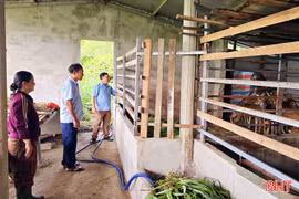 Những người tiên phong đưa đàn hươu về với xã biển Kỳ Xuân