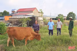 Tạo sinh kế, tiếp sức người dân Kỳ Xuân vươn lên thoát nghèo
