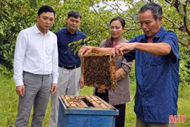 Nuôi ong giúp nhiều người dân Kỳ Lạc thoát nghèo