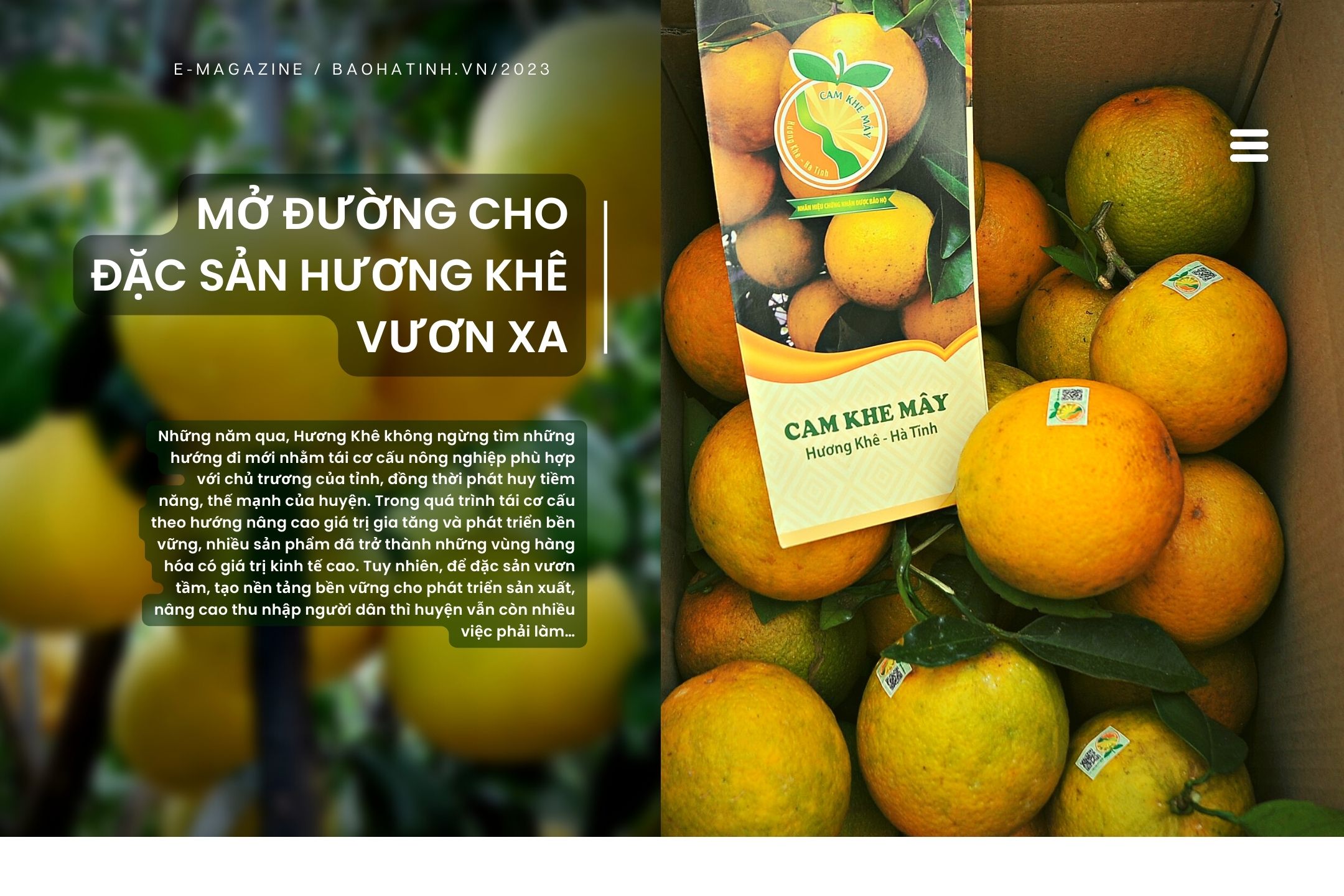 Mở đường cho đặc sản Hương Khê vươn xa (bài 2): Chuẩn hóa sản xuất, nâng tầm thương hiệu