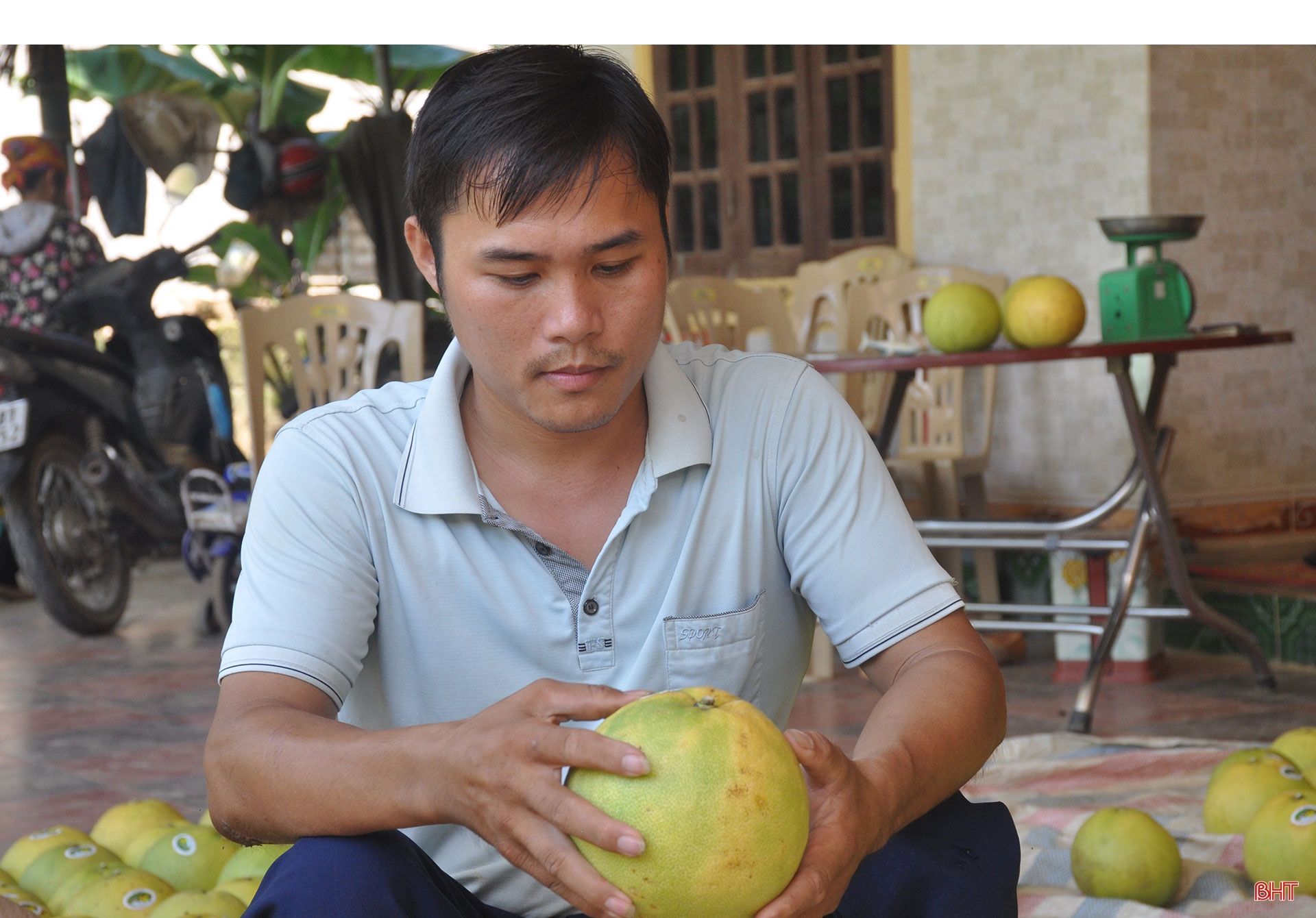 Mở đường cho đặc sản Hương Khê vươn xa (bài 2): Chuẩn hóa sản xuất, nâng tầm thương hiệu